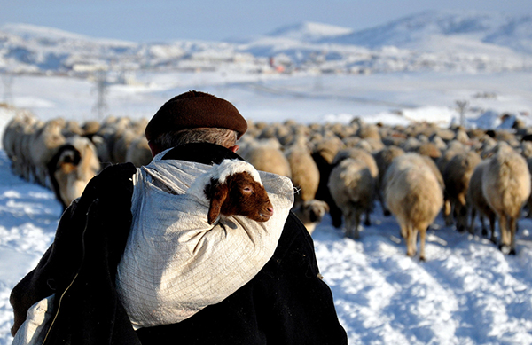 Anadolu Ajansı, yılın en iyi fotoğraflarını belirledi