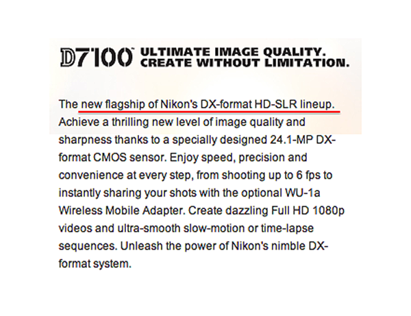 Nikon D7100, D300s yerine konumlandırılmış bir fotoğraf makinesi değil