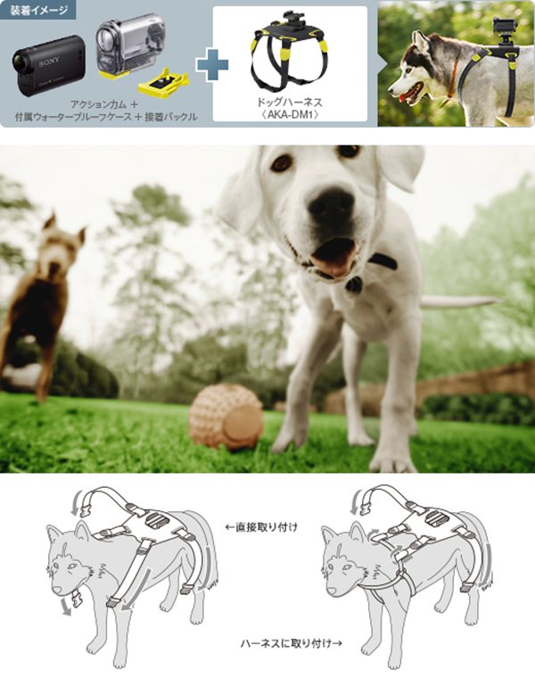 Sony, köpeklerin üzerine kamera bağlamaya yarayan yeni aparatının satışına başlıyor