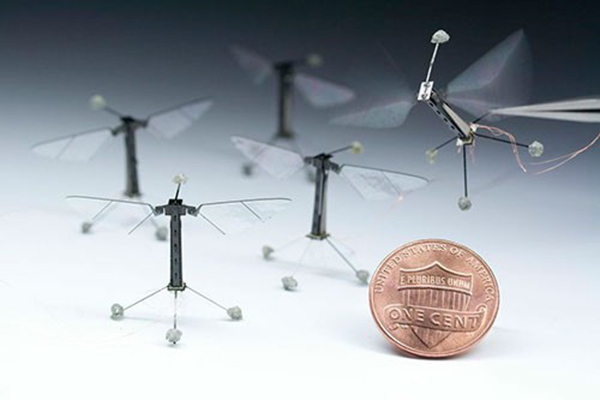 Harvard Üniversitesi araştırmacılarından uçabilen robot arı, RoboBee