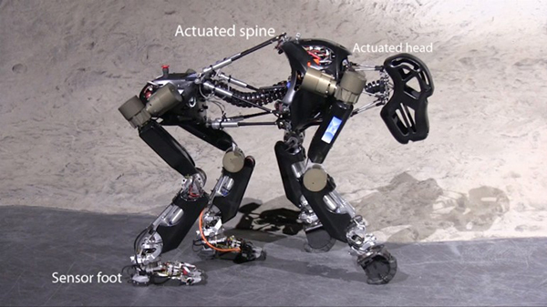 Alman araştırmacılardan maymun tarzında yürüyen robot: iStruct Demonstrator