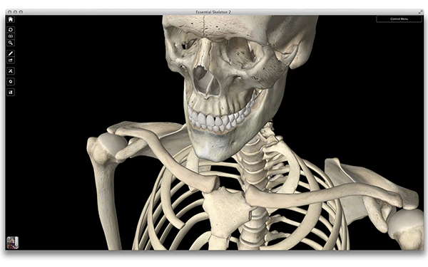 Mac OSX sistemler için iskeletin temel anatomisini gösteren uygulama: Essential Skeleton 2