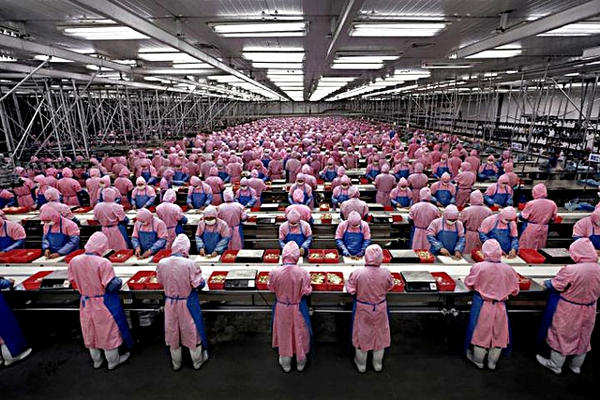 iPhone 5C izleri Çin İşçi İzleme raporunda ortaya çıktı