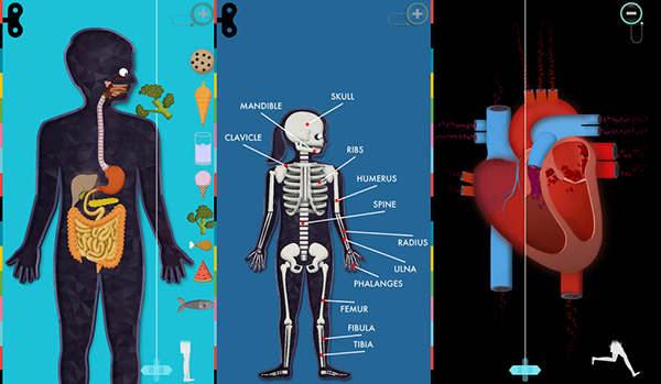 Renkli ara yüzü üzerinden çocuklara insan vücudunu öğreten The Human Body by Tinybop isimli iOS uygulaması kullanıma sunuldu
