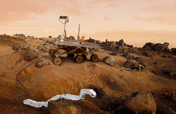 Geliştirilen robot yılan, gelecekte bir gün Mars'ı keşfe çıkabilir