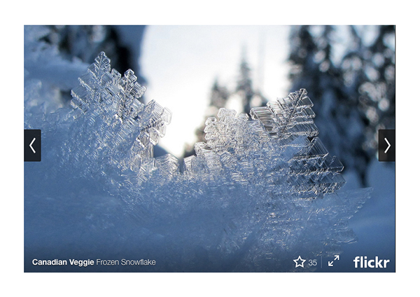 Flickr, fotoğraf gömme sistemini yeniledi