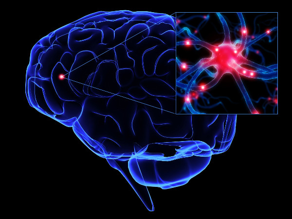 CES 2014 : 2026 yılında işlemci transistör sayısı insan beynindeki nöronlarla eşit hale gelecek