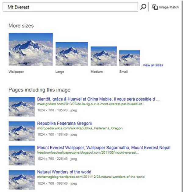 Bing, Image Match özelliğini kullanıma sundu