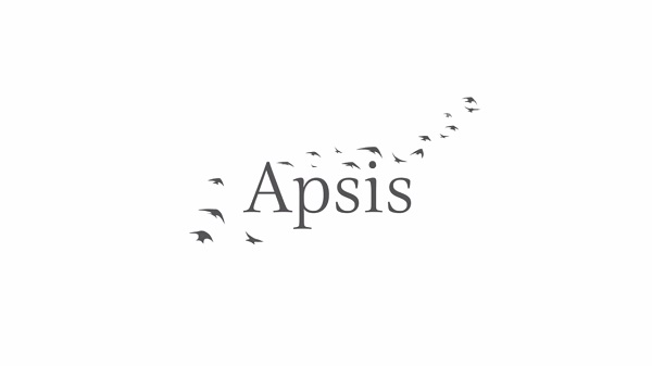 Apsis'i sizler için denedik