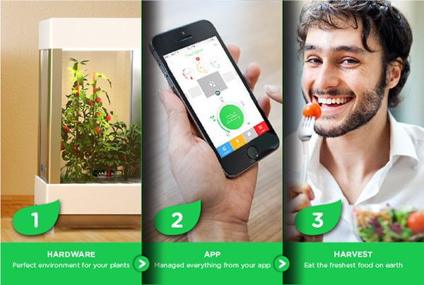 Dünyanın ilk akıllı telefon destekli bitki büyütme sistemi Niwa, Kickstarter'da destek arıyor