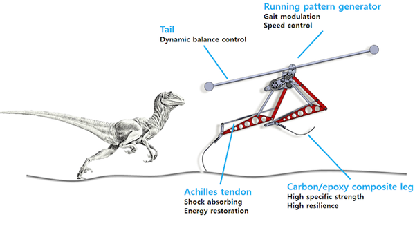 Boston Dynamics'in hızlı robotuna KAIST'den yeni rakip: Raptor