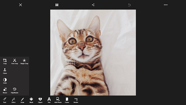 WP8 uyumlu fotoğraf uygulaması PicsArt, Windows 8.1 için de yayınlandı