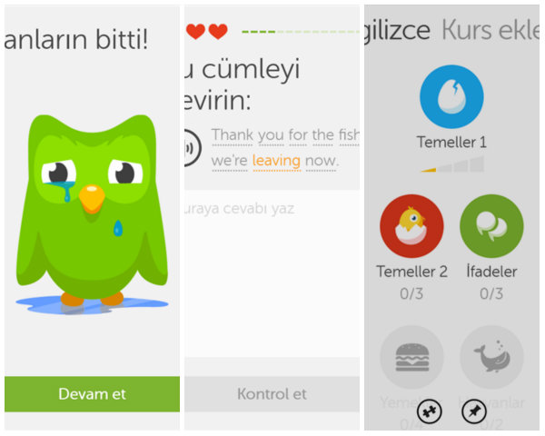 Duolingo uygulaması Windows Phone'a geldi