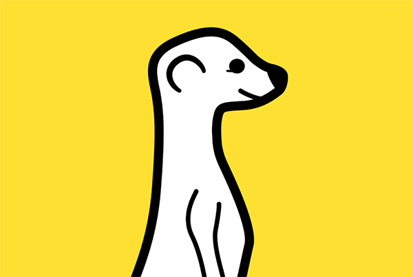 Meerkat beta Android için yayınlandı; Facebook satın alımı yolda olabilir