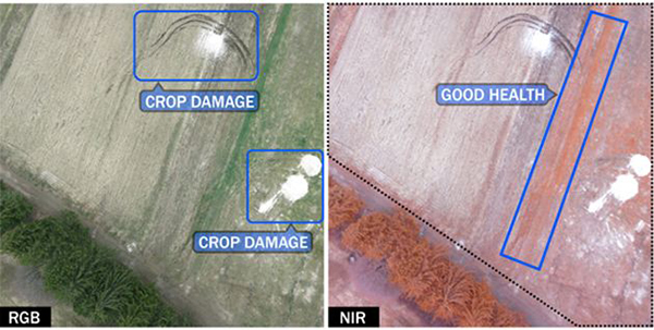 MIT'nin desteklediği hava aracı, tarım arazilerinin durumu hakkında bilgi verebiliyor