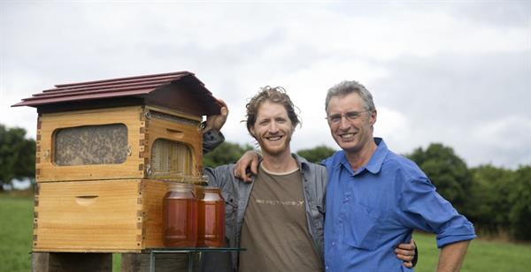 Flow Hive arı kovanını bal pınarına dönüştürüyor