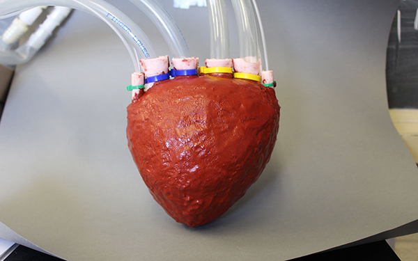 Cornell Üniversitesi araştırmacıları, köpük kullanarak yapay kalp üretti