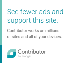 Google’dan sitelere yeni gelir modeli: Google Contributor