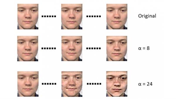 Yeni algoritmayla yüz ifadeleri gizlenemeyecek