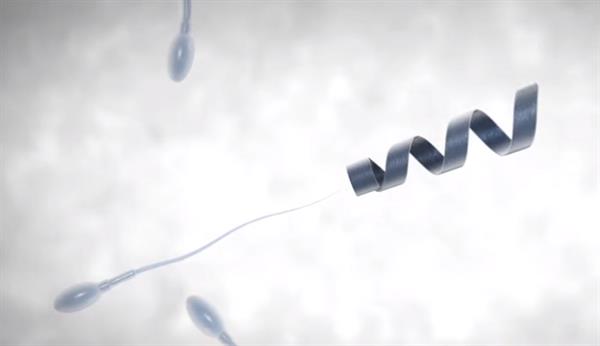 Kısırlığa çare olabilecek nano teknoloji: Spermbots