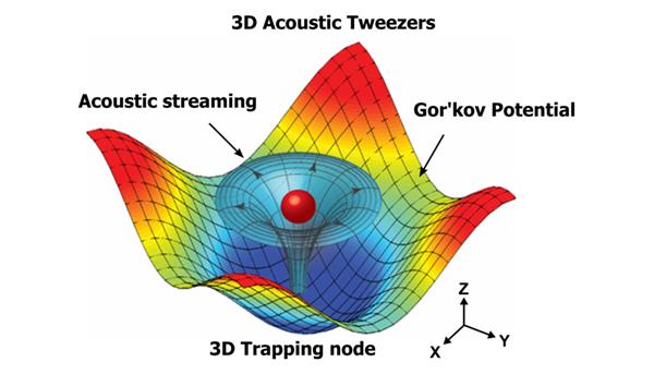 'Ses dalgaları cımbızı' sayesinde 3D doku üretimi daha kolay hale gelecek