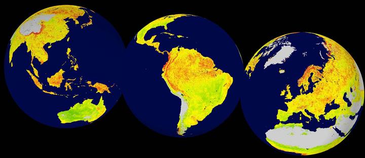 İklim değişikliği en çok hangi bölgeleri tehdit ediyor? İşte haritası