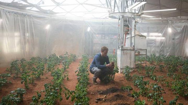NASA patates yetiştirmeye başladı