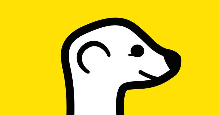 Meerkat, canlı yayın sektörüne havlu attı