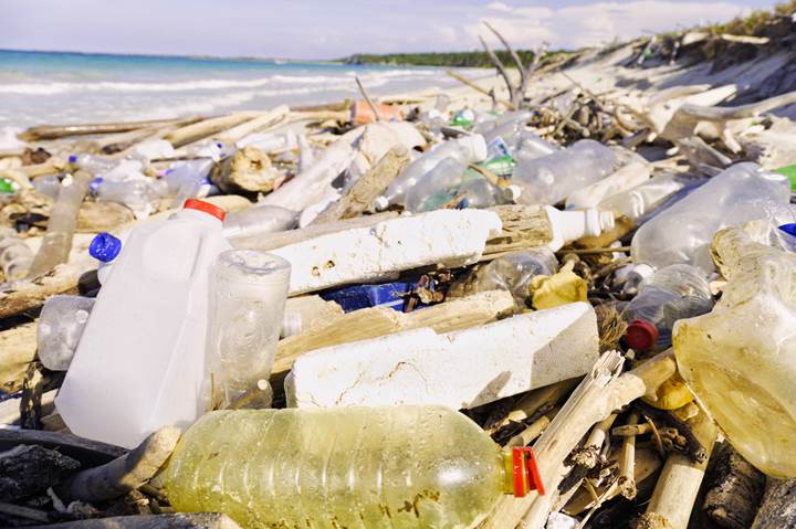 Bilim adamları plastik yiyen yeni bir bakteri çeşidi buldu