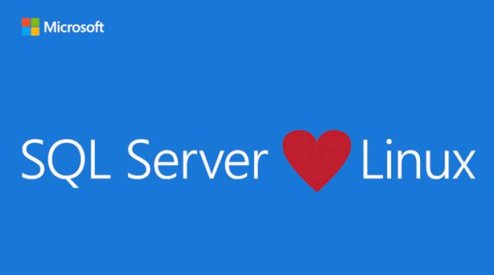İlk haftada 8 bin şirket Linux üzerinde SQL Server'ı denemek için kaydoldu