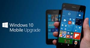 Microsoft Sonunda Windows 10 Mobile Guncellemesini Yaymaya Basladi