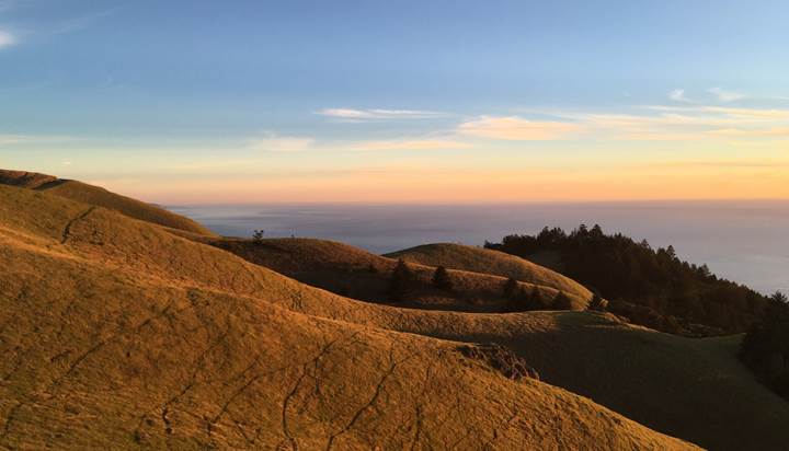 iPhone SE'nin kamera özellikleri ve ilk resmi test fotoğrafları