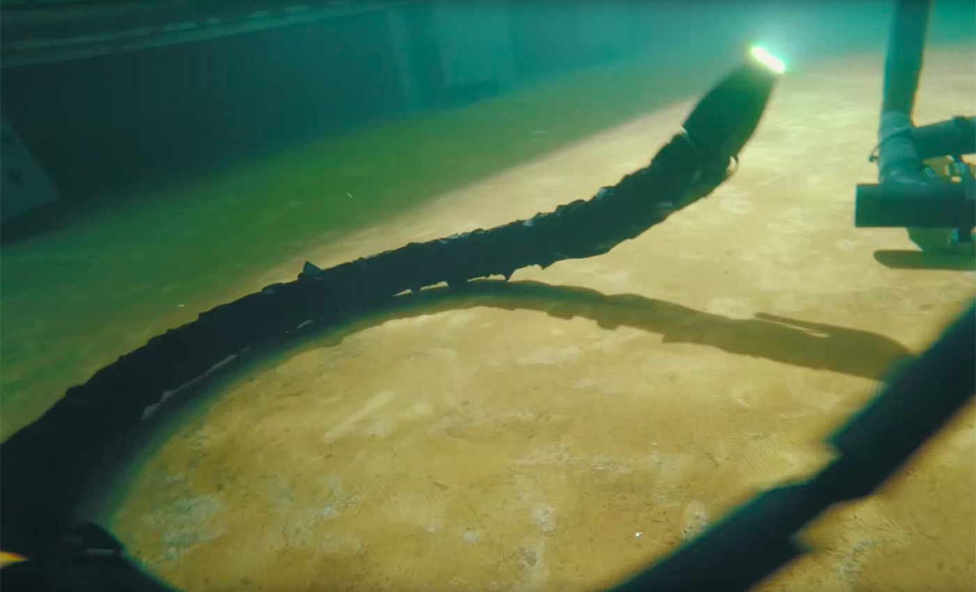 Robotik yılandan ürkütücü yüzme videosu