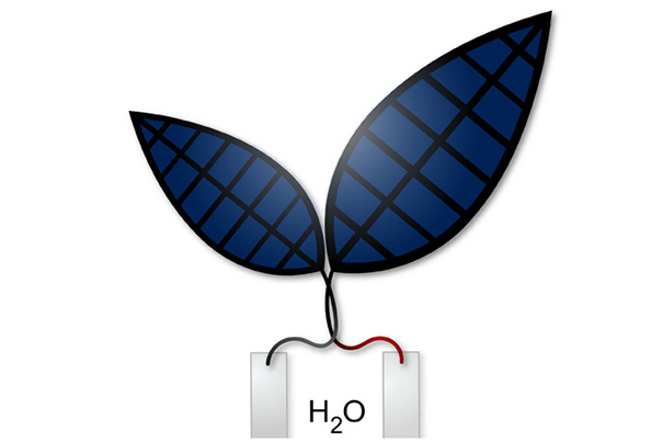 Harvard bilim insanları 'Biyonik Yaprak' ile sıvı yakıt üretmeyi başardı