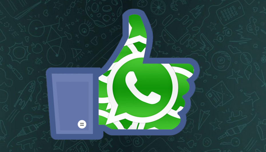 WhatsApp telefon numaranızı Facebook'la paylaşacak