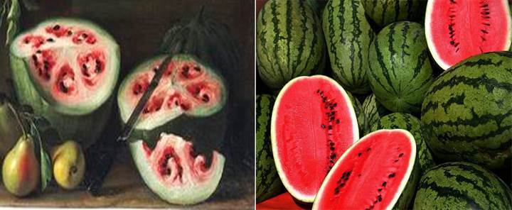 Sebze ve meyveler genetik modifikasyona uğramadan önce nasıl görünüyordu?