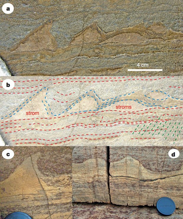 Dünya'nın en eski fosilleri Grönland'da keşfedildi