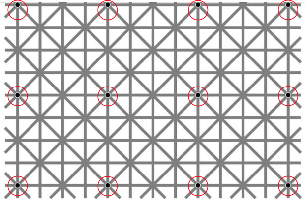 İnternet dünyasını sallayan optik illüzyon: Bu 12 noktayı neden göremiyorsunuz?
