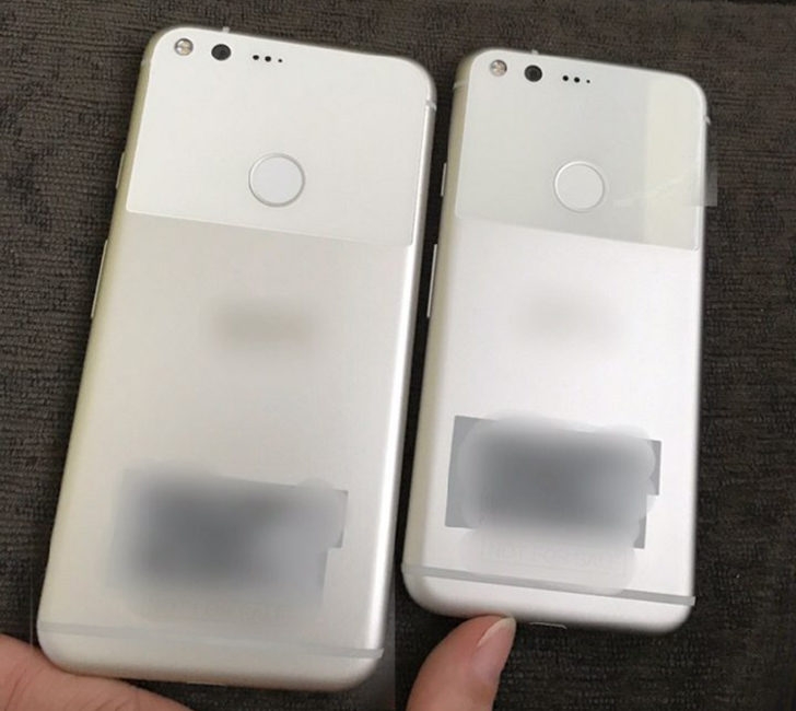Google Pixel telefonları görüntülendi