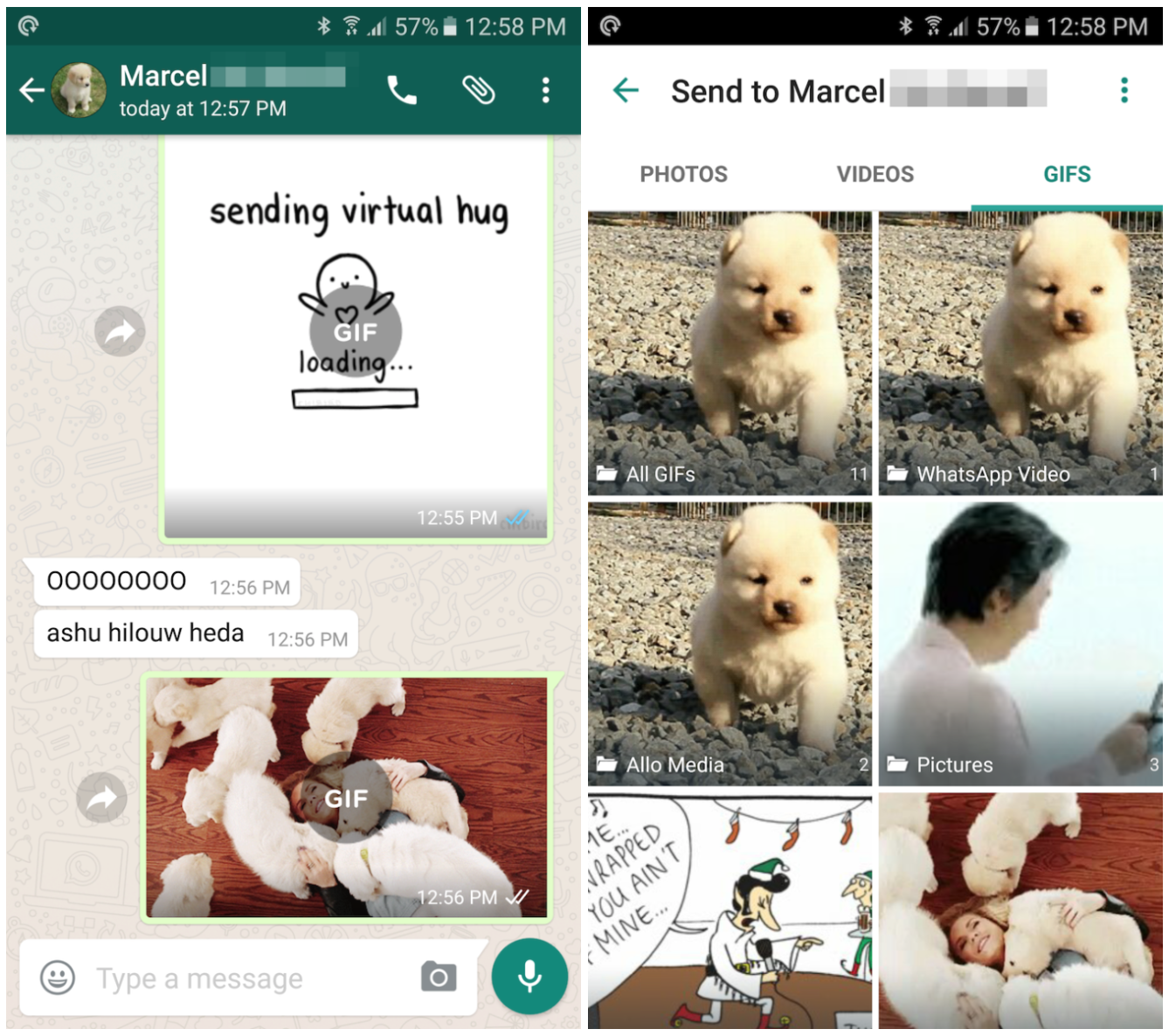 Whatsapp’a çok yakında GIF desteği ekleniyor