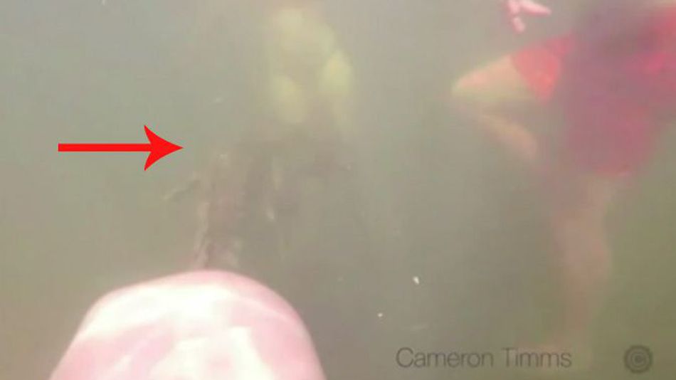 Çocuğu ısıran timsah saldırı öncesi etrafında yüzerken GoPro'ya yakalandı