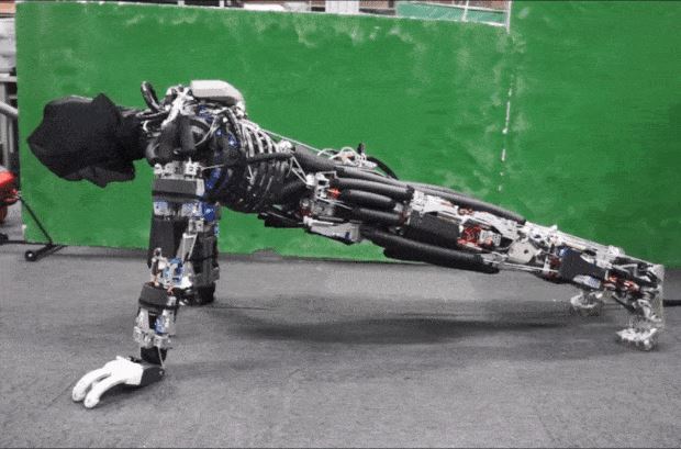 11 dakika boyunca şınav çekebilen robot 'terleyerek' vücut ısısını koruyor