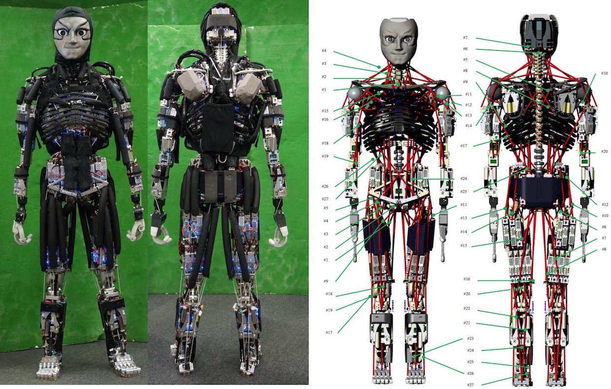 11 dakika boyunca şınav çekebilen robot 'terleyerek' vücut ısısını koruyor