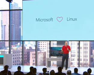 Microsoft, Linux Vakfı'nın platin üyesi oldu