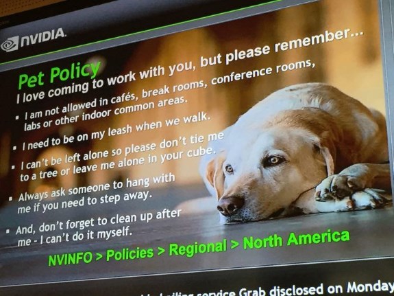 Nvidia çalışanları, köpeklerini şirkete götürebiliyor