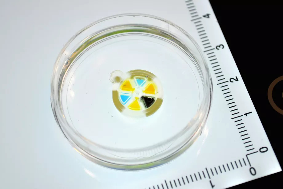 Deri altından ilaç taşıyan nano robot: Biyobot