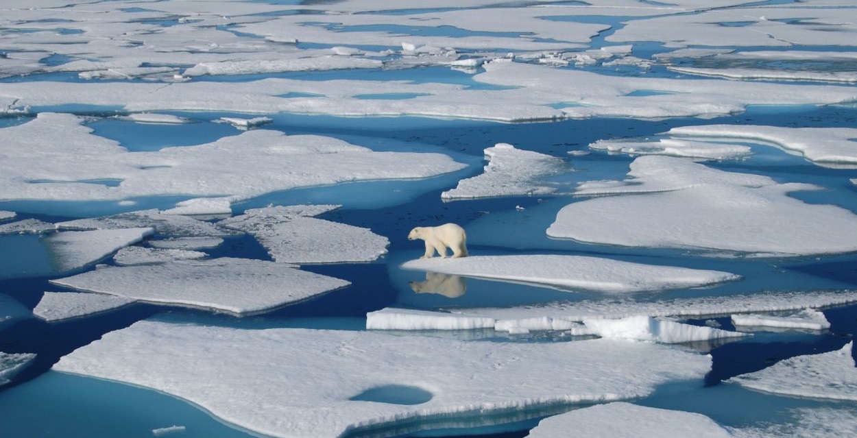 Arktik Okyanusu'ndaki asit artışının suçlusu iklim değişikliği