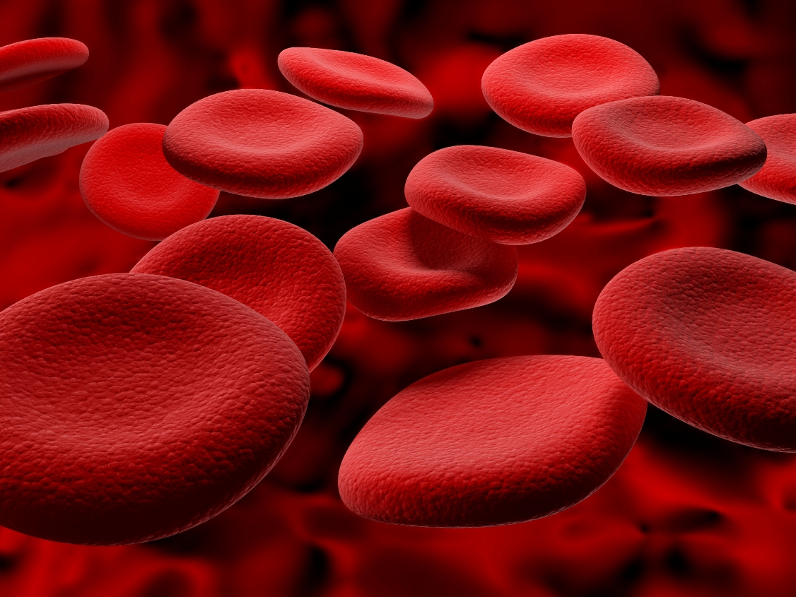 Yüksek miktarlarda yapay kan üretimi artık mümkün!