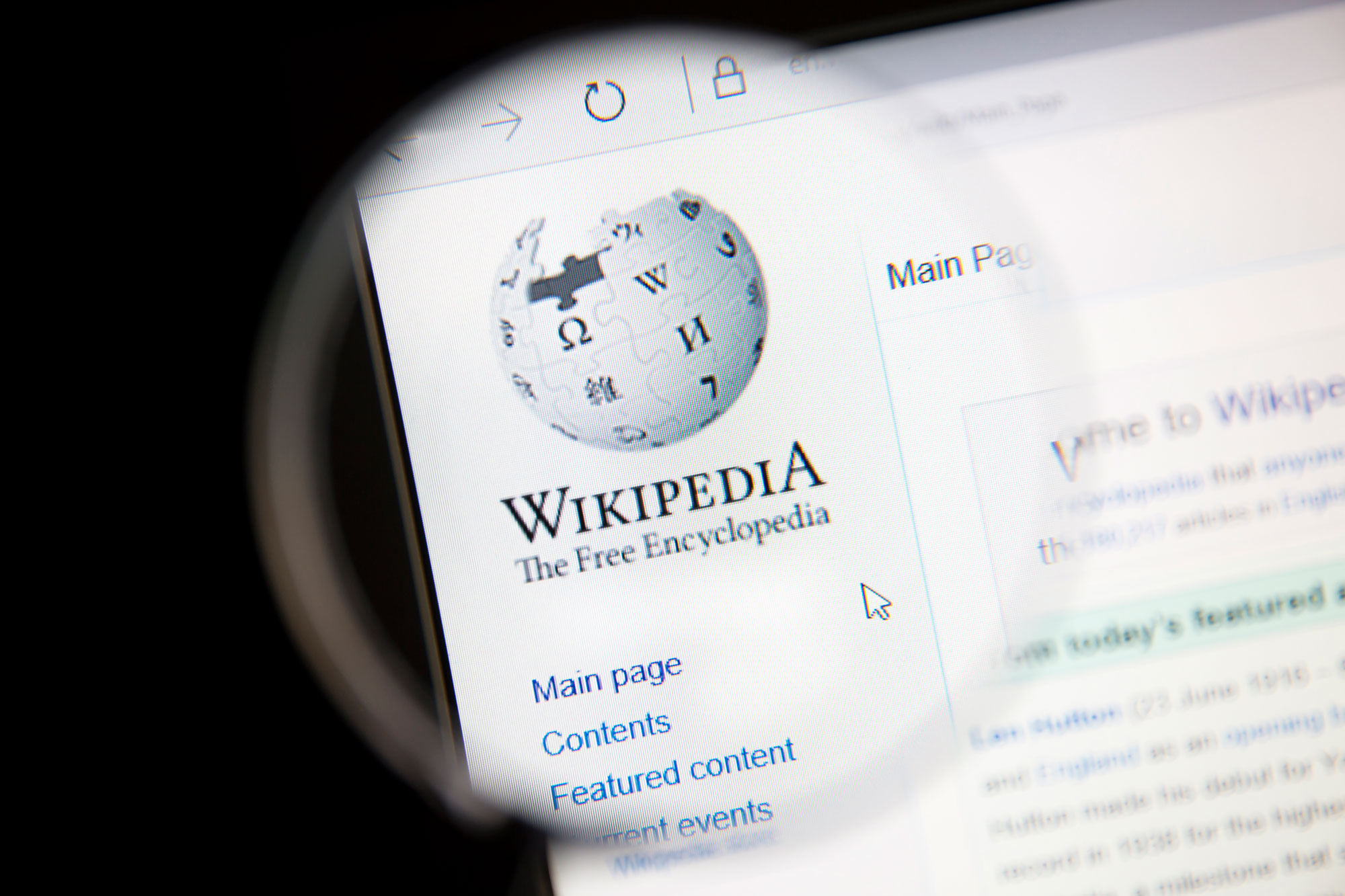 Wikipedia’dan kapatma kararına karşı hamle