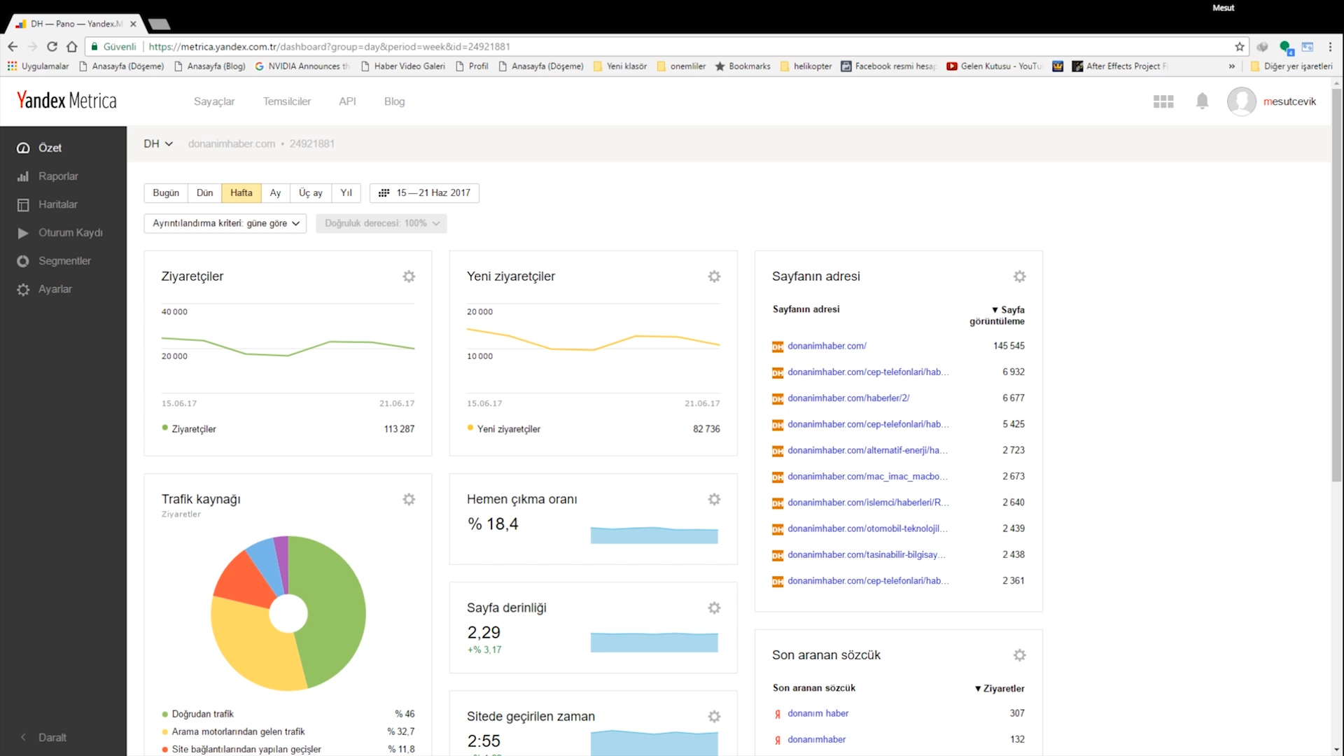 Web sitenize kimler giriyor, ne yapıyor? 'Yandex Metrica mercek altında'